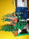 dsc00235.jpg