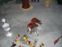dsc02099.jpg