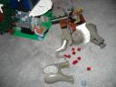 dsc02230.jpg