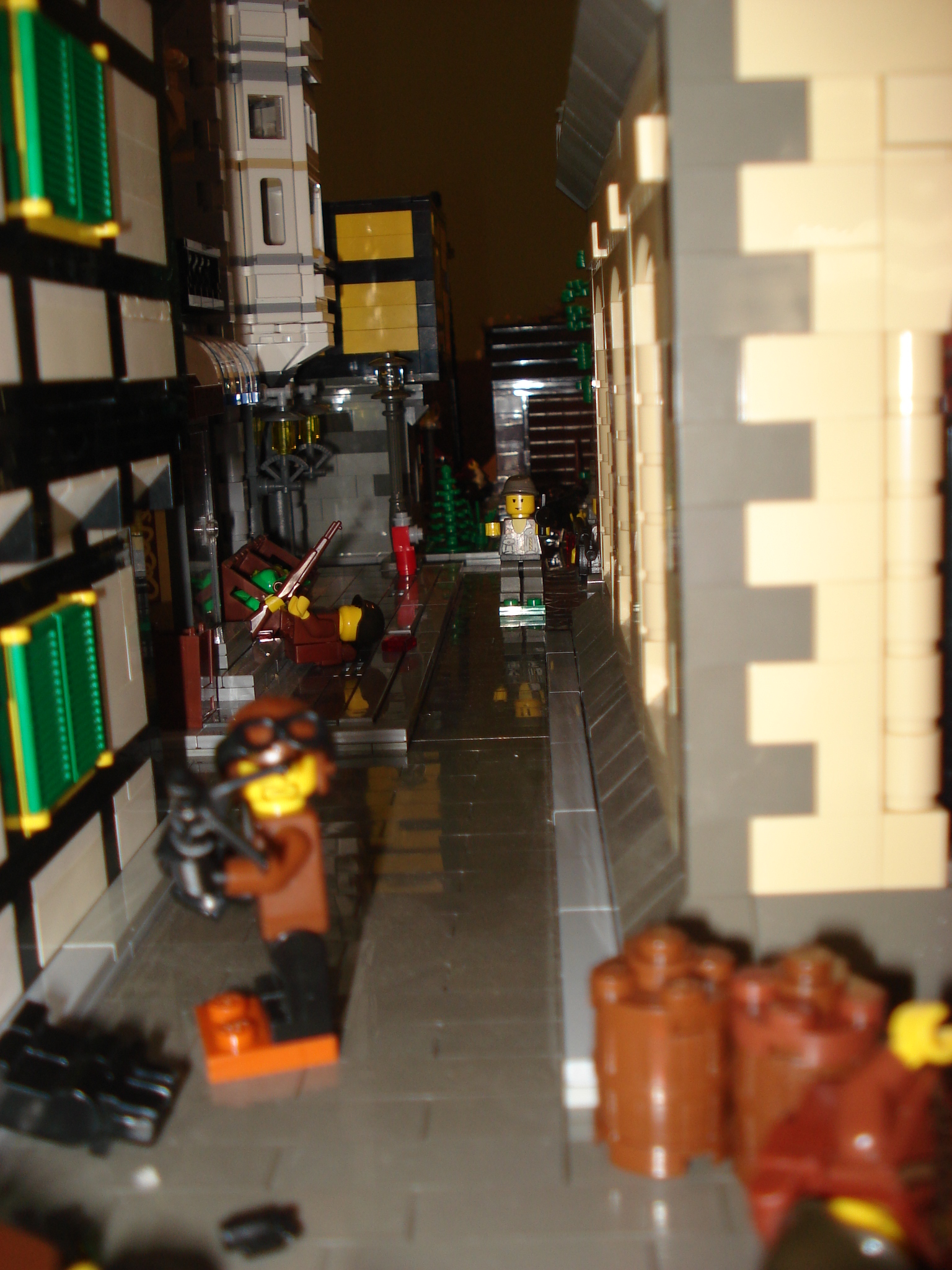 dsc07537.jpg