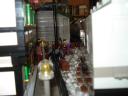 dsc07487.jpg