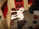 dsc07518.jpg