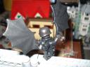 dsc07584.jpg