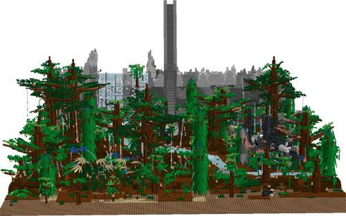 forest-10.jpg