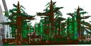 forest-13.jpg