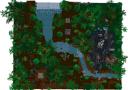 forest-17.jpg
