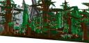 forest-2.jpg
