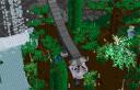 forest-4.jpg