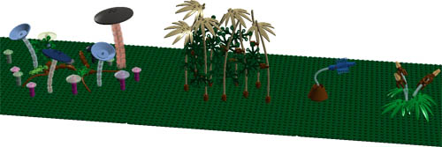 plants-5.jpg
