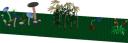 plants-5.jpg