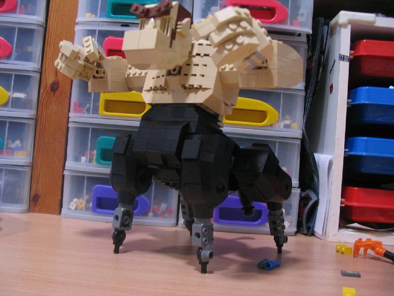 151_5154.jpg