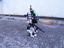 miniwalker-v2-3.jpg