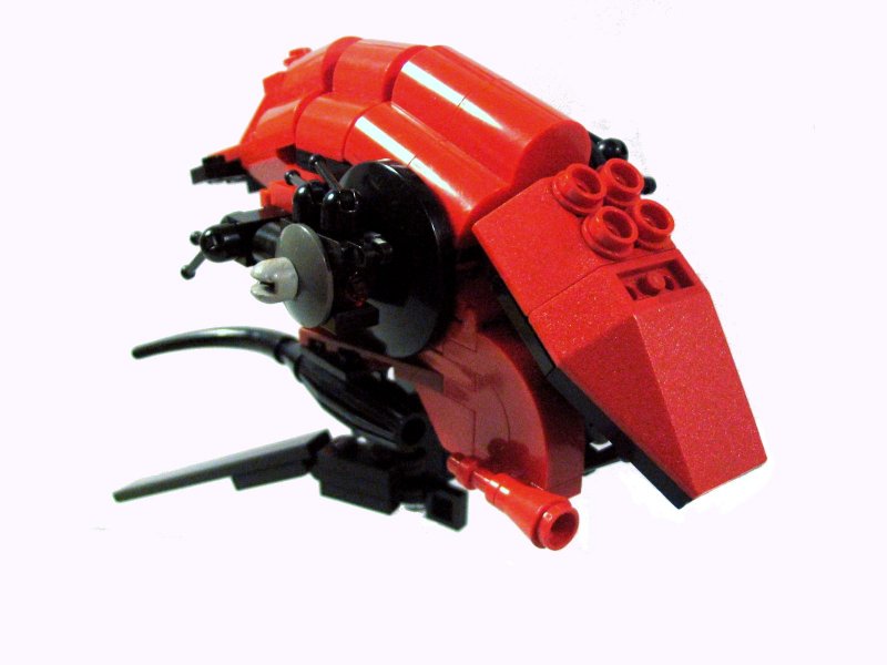prawn-1.jpg