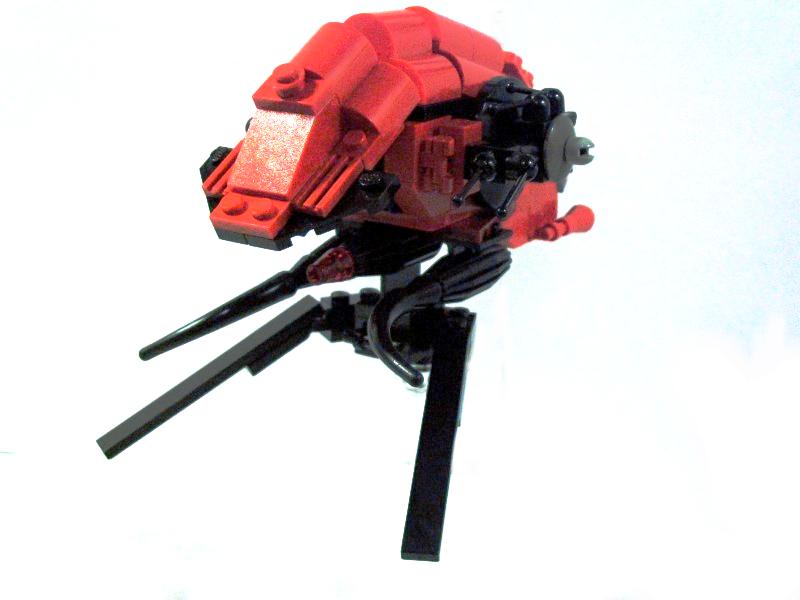 prawn-3.jpg