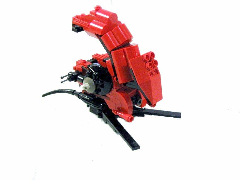 prawn-6.jpg
