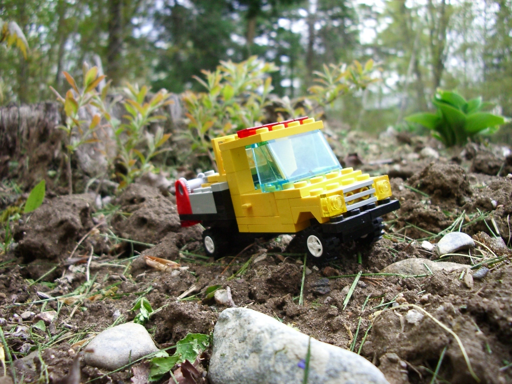 wildland2-1.jpg