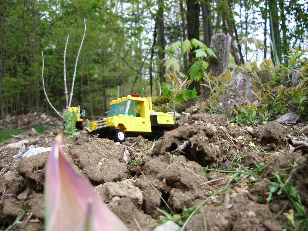 wildland2-2.jpg