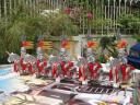 dsc09428.jpg