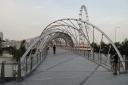 dsc09893.jpg