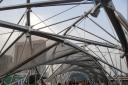 dsc09907.jpg