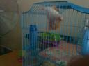 dsc01857.jpg