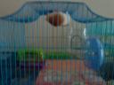dsc01858.jpg