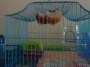 dsc01859.jpg