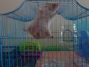 dsc01860.jpg