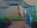 dsc01861.jpg