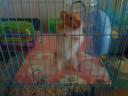 dsc01862.jpg