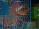 dsc01863.jpg
