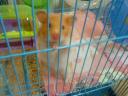 dsc01870.jpg