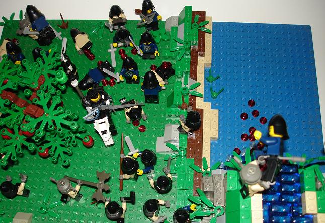 birds-eye.jpg