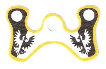 falcons__yellow.jpg