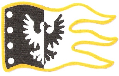 black_falcons__yellow.jpg