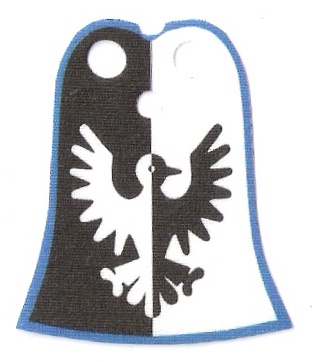 black_falcons__blue.jpg