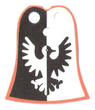 black_falcons__red.jpg