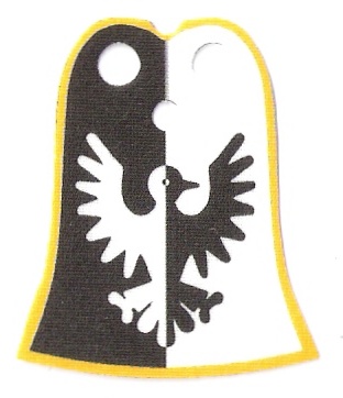 black_falcons__yellow.jpg