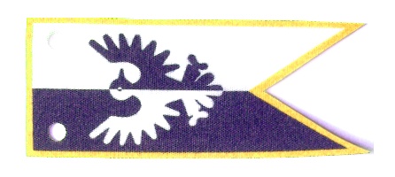 black_falcons__yellow.jpg