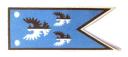 black_falcons__blue_triple.jpg