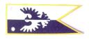 black_falcons__yellow.jpg