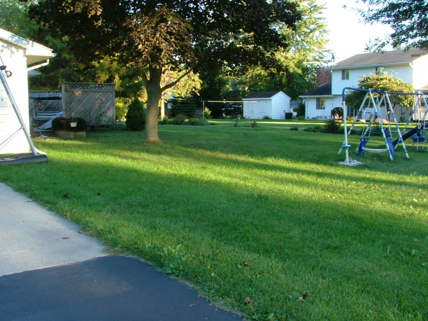 house_back_yard.jpg