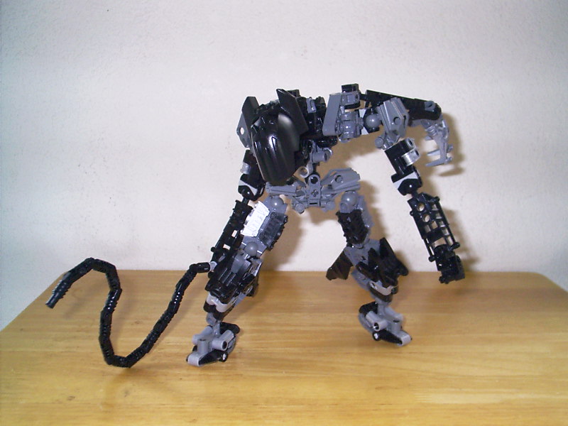 bat001.jpg