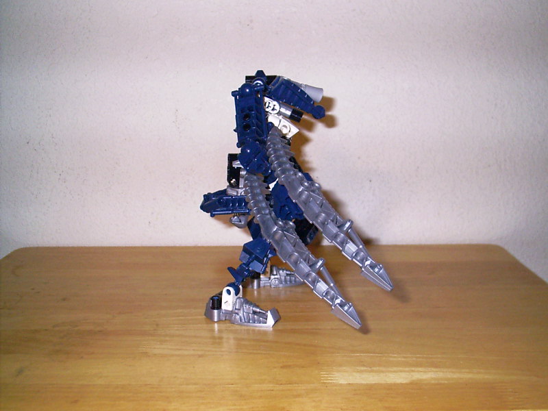 bor004.jpg