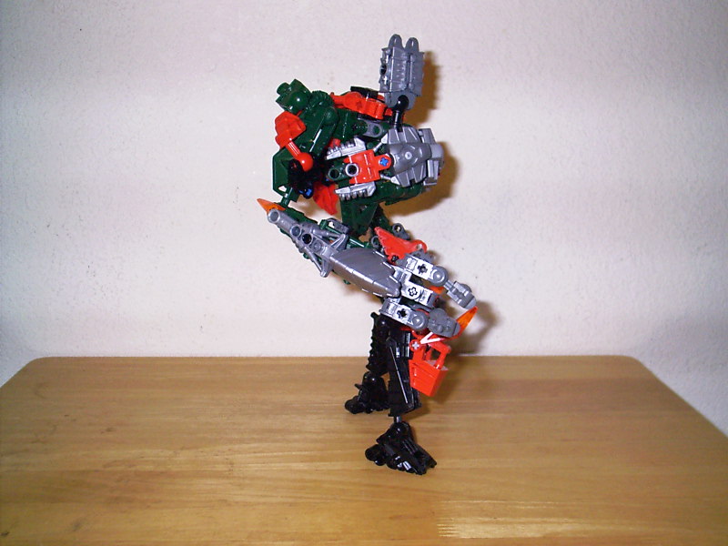 rosa004.jpg
