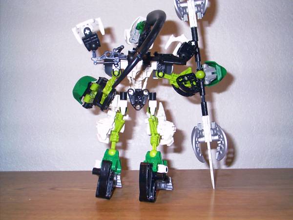 neoarashi002.jpg