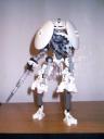 shiroininja004.jpg