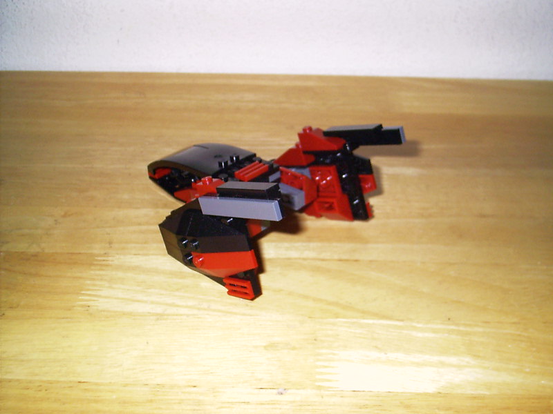 skim005.jpg