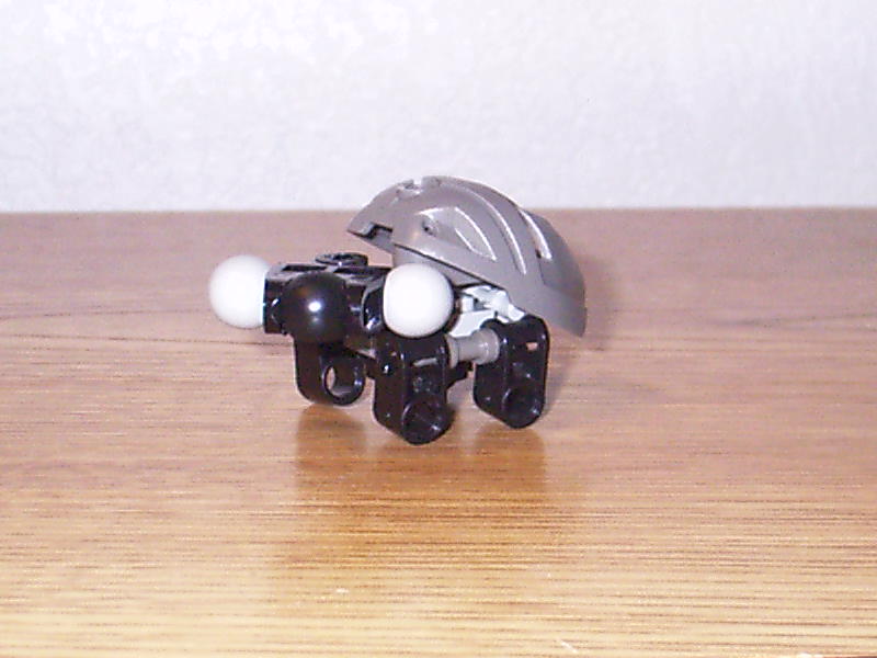 turtle000.jpg