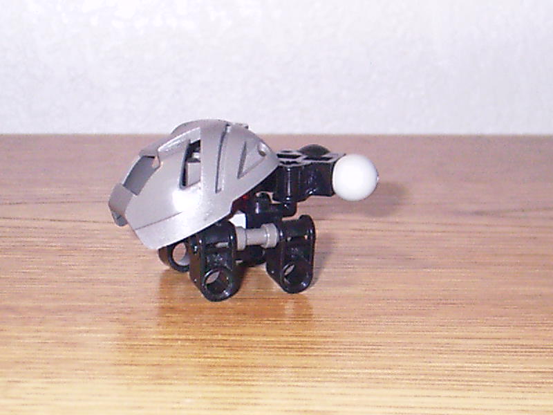 turtle001.jpg